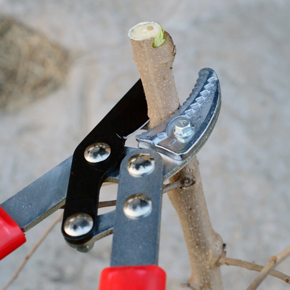 Pruning Shears, Pruning Loppers, Screw Fixing For Park Trimming Bonsai Twigs Fruit Tree Gardening Flower Cutting
