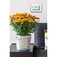 thumbnail image 3 of Programmable Thermostat - With 5-1-1 Day Scheduling, 3 of 6