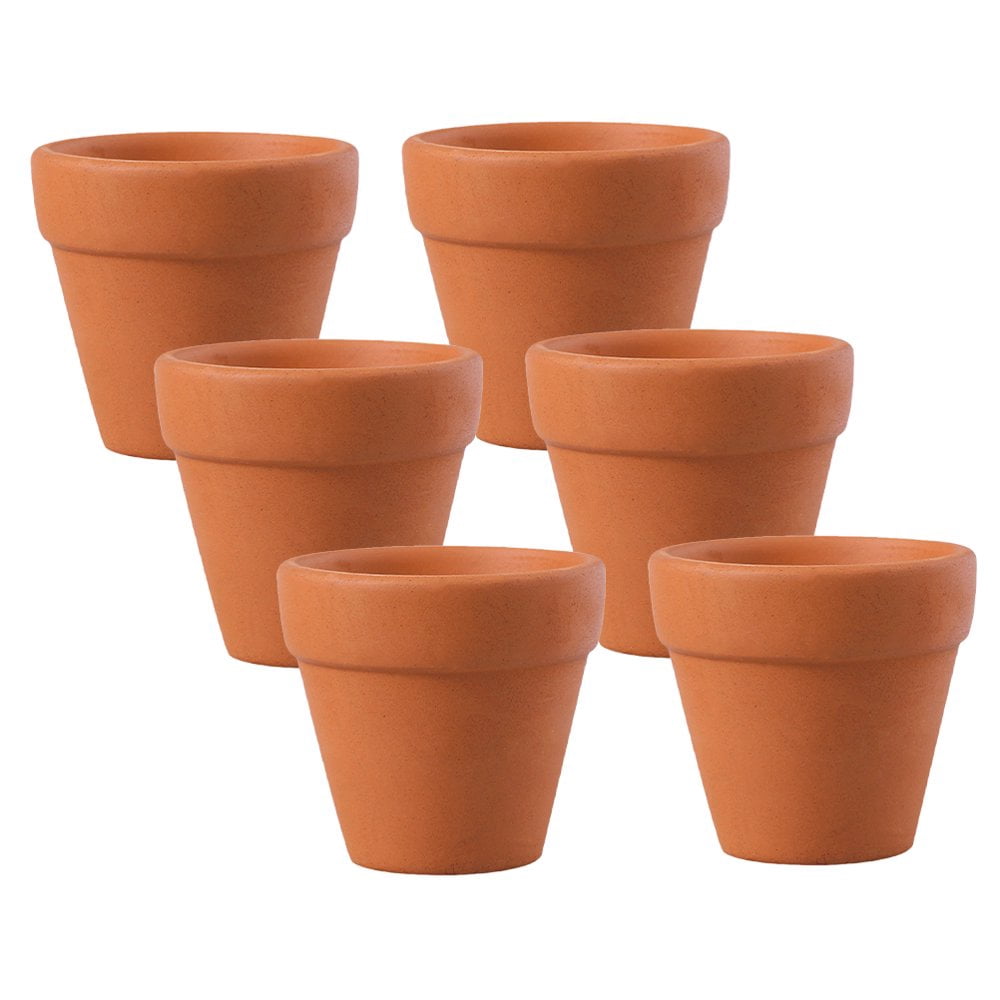LEEYNEER6pcs Mini Terracotta Clay Pots Small Flower Planters for Indoor  Nursery Plant Pots Miniature Garden Planters for Succulents Cactus