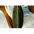 thumbnail image 2 of Gouchee Home Solid Velvet Cushion, 2 of 4