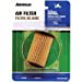 thumbnail image 2 of Arnold 490-200-0020-TAF1 Paper Airfilter, 2 of 2