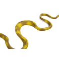 thumbnail image 2 of Safari Ltd Créatures Incroyables Arbre d'Amazon Boa, 2 of 2