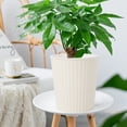 thumbnail image 1 of Self-Watering Planter Pot with Automatic Water Absorption System | 7-Inch Circular Plastic Flower Pot for Indoor Outdoor Plants | Includes 1 Planting Basin, 1 of 6