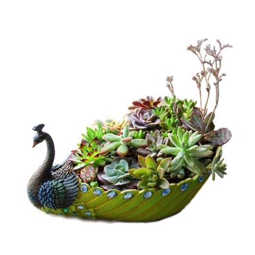 Ruiboury Pot de Plante Succulente en Résine Fait Main Peacock Pot de Cactus Pot de Fleurs Conteneur Vintage Décoratif
