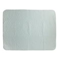thumbnail image 1 of lionlar Alèse Lavable Réutilisable Protection contre l'Incontinence Drap Absorbant Vert TG 90x150cm, 1 of 9
