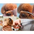 thumbnail image 5 of Ensemble de Ciseaux de Toilettage pour Chien avec Pointe Ronde de Sécurité, Trousse de Ciseaux pour Chien en Acier Inoxydable Robuste Incluant Ciseaux Amincissants pour Chien Ciseaux Courbés Ciseaux Droits et Peigne pour Soins des Poils de Chien et Chat, 5 of 5