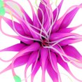 thumbnail image 1 of Silicone Artificial Coral, Durable Simulation Water Plant Ornament  For Aquarium Fish Container Decoration, 1 of 8