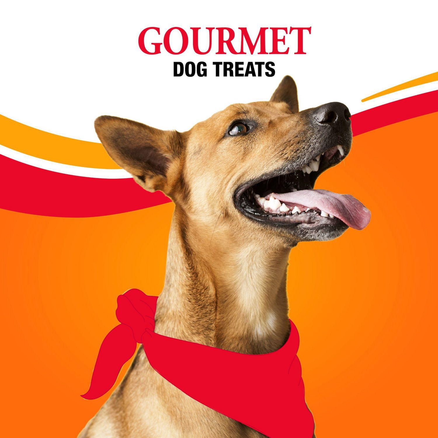 Good ’n’ Fun Sucettes Doubles Triple Saveur avec Poulet, Gâterie pour tous les chiens, 155g