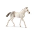 thumbnail image 1 of Schleich Horse Club Holsteiner - Foal, 1 of 1