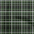 thumbnail image 1 of oneOone Polyester Spandex Green Fabric Plaid Craft Projects Decor Fabric Printed By The Yard 56 Inch Wide, 1 of 4