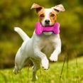 thumbnail image 4 of NERF Dog EXO Squeak Bone Dog Toy 7inch, 4 of 10