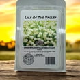 thumbnail image 4 of Cire de Soya Végane Lily of The Valley, Coulée à la Main, Fondants de Cire Florale Écologiques, Lot de 4, 4 of 5