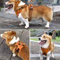 thumbnail image 2 of No Pull Dog Harness Front Clip Heavy Duty Reflective Easy Control Handle for Large Dog Walking(Orange,L), 2 of 9