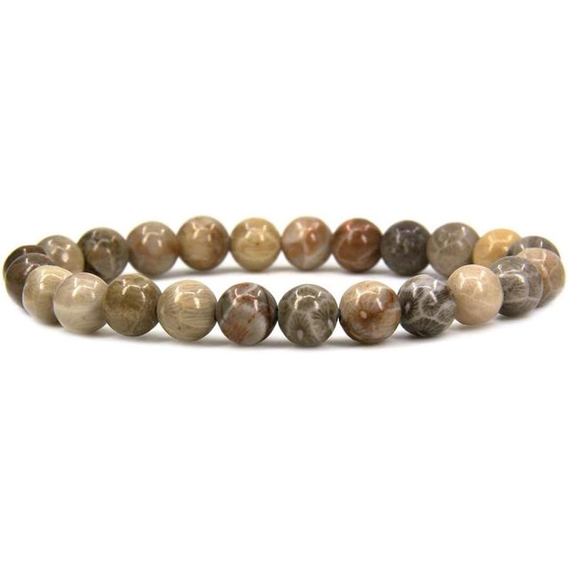 Bracelet Extensible Unisexe en Perles Rondes de 8 mm en Pierre Précieuse Fossile Corail Naturelle 7 Pouces