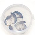 thumbnail image 1 of 6 Pieces 12 Realistic Nymph Scud Flies Trout Artificial Insect Baits Lure Fish Tackle for Lake Pond Pool Ocean, 1 of 1