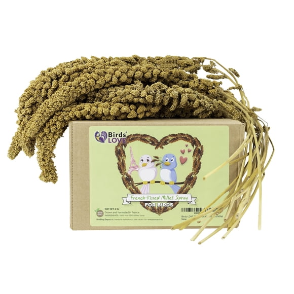 Birds LOVE French Kissed Non OGM 2 Livres Vaporisateur Millet