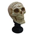 thumbnail image 1 of Way to Celebrate 10in Fortune Teller Skull, 1 of 6