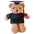 thumbnail image 3 of Aqestyerly Graduation Bear Stuffed Animal Plush Toy Class Of Gift With Cap Graduation Soft Toy Souvenir Gift HWRETIE, 3 of 3