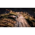 thumbnail image 2 of ARK: Ultimate Survivor Edition (PS4), 2 of 7