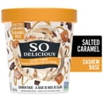 thumbnail image 1 of So Delicious Salted Caramel Cluster Flavoured, Gluten-Free Dairy-Free, Cashew Frozen Dessert, 500 ml, 1 of 5