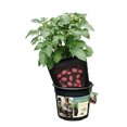 thumbnail image 1 of Potato Planter Pot (1 CT), 1 of 1