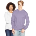 thumbnail image 1 of Hanes Beefy-T T-Shirt à Manches Longues pour Hommes, 3TG, Lavande, 1 of 1