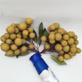 thumbnail image 4 of Coofit Artificial Fruit Realistic Fake Longan Decor Fruit Home Decoration, 4 of 8