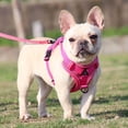 thumbnail image 2 of Harnais Réfléchissant pour Chien Style Gilet Harnais de Poitrine pour Chiot Outils Fournitures Rose Rouge/TG, 2 of 9