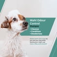 thumbnail image 3 of Wahl Odour Control, Plant Derived, Paraben & Silicone Free, Eucalyptus Spearmint Dog Shampoo, 700ml, 3 of 8