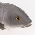 thumbnail image 3 of GUOOL Lifelike Artificial Carp Ornament for Home Kitchen Aquarium Decoration Grey-Big, 3 of 5