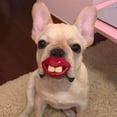 thumbnail image 4 of Jouet pour Animaux de Compagnie Suce Jouet en Silicone pour Dentition – Design Lèvres Rouges TPR Silicone pour Jeu Intérieur Extérieur Entraînement Apaisant Anneau de Dentition pour Animaux, 4 of 5