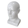 thumbnail image 1 of PVC Mannequin Male Head Model Height 34cm Styling Accessory for Hair Glasses Head Circumference 56cm Durable Lightweight White, 1 of 8