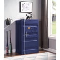 thumbnail image 2 of ACME Cargo Chest (Single Door) in Blue, 2 of 5