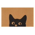 thumbnail image 1 of Giyblacko Tapis de Porte Intérieur et Extérieur Tapis de Porche Porte d'Entrée Tapis de Sol 40x60cm, 1 of 1