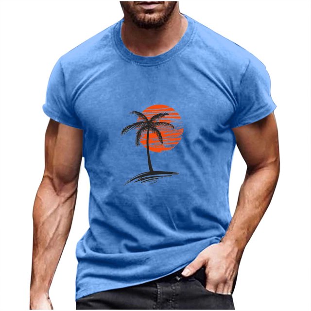 Birdeem T-Shirt à Manches Courtes pour Hommes, Col Rond, Impression Numérique 3D, Chandail D\'entraînement Physique
