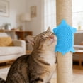 thumbnail image 4 of Svmmer Turtle Shaped Cat Comb Wall Mounted Cat Scratching Board & Self Grooming Device, 4 of 5