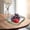 Vert, variante sur Tranfacy Maison et Cuisine, Ensembles d'Assiettes et de Bols, Plateau à Fruits Salon Ménage Grande Valeur Table à Thé Style Plateau à Fruits Collations de Haute Qualité Plateau à Bonbons Plateau de Fruits Secs