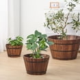 thumbnail image 4 of 17 in en bois planteur, 4 of 8