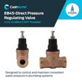 thumbnail image 4 of Cash Acme 23880-0045 EB45 Pressure Regulating Valve  45 Psi, 4 of 4