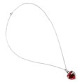 thumbnail image 4 of Collier Souvenir, Collier Souvenir en Acier Inoxydable Collier Urne Pendentif Artisanat Supérieur, 4 of 14