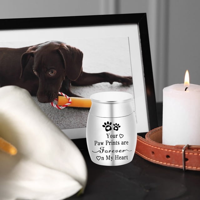 Urne pour Animaux Pot Commémoratif Chats Chien Produits Funéraires Urne en Alliage Scellée