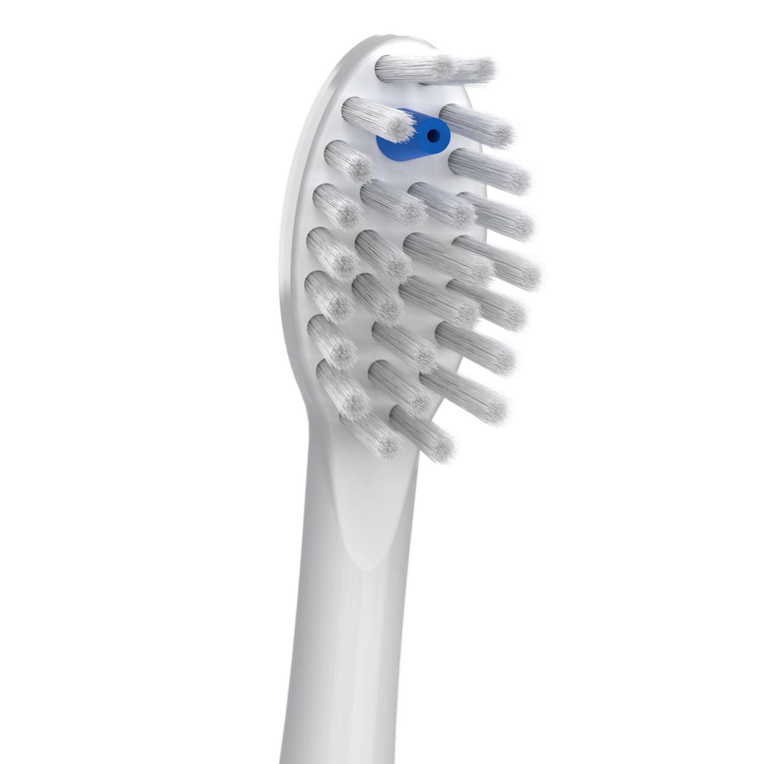 Waterpik® Sonic-Fusion® Têtes de Brosse de Rechange Pleine Grandeur pour Fil Dentaire