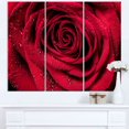 thumbnail image 1 of Design Art Red Rose Petals with Rain Droplets Floral Canvas Art Print, 1 of 3