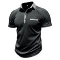 thumbnail image 1 of DPTALR Hommes Affaires Décontracté Faddish Manches Courtes Col Rabattu Chemise Chemisier Blouse, 1 of 5