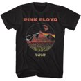 thumbnail image 1 of Pink Floyd Dsotm Pyramides Arc-en-Ciel Noir T-Shirt pour Adulte m, 1 of 2