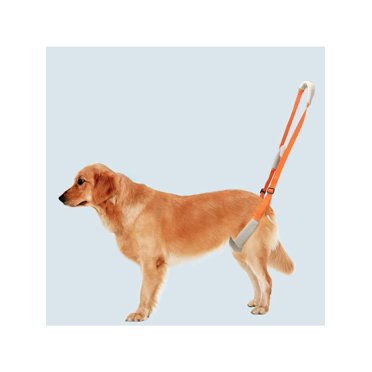 Portable Auxiliary Belt Harness Adjustable Support Rehabilitation Belt Assist Tool For Disabled Sick Elderly Dogs