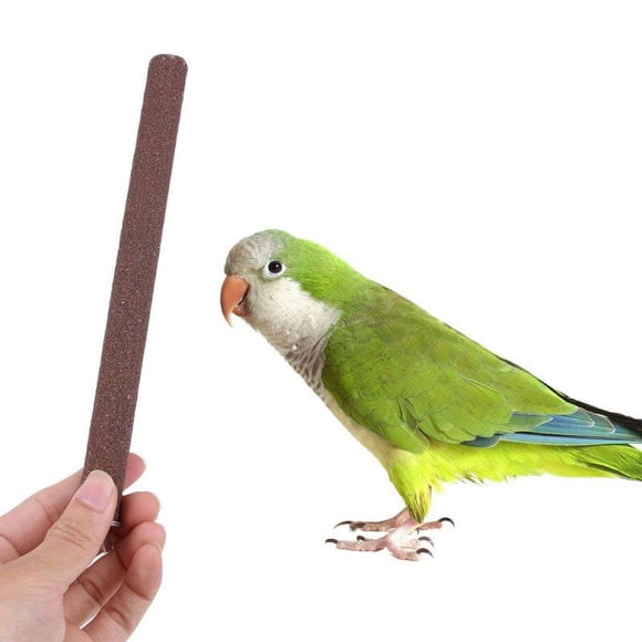 Bird Perch Stand Toy Parrot Perch Stand Platform Paw Grinding Stick Cage Accessories Exercise Toys Budgies Parakeet Cockatiel(10*2cm)