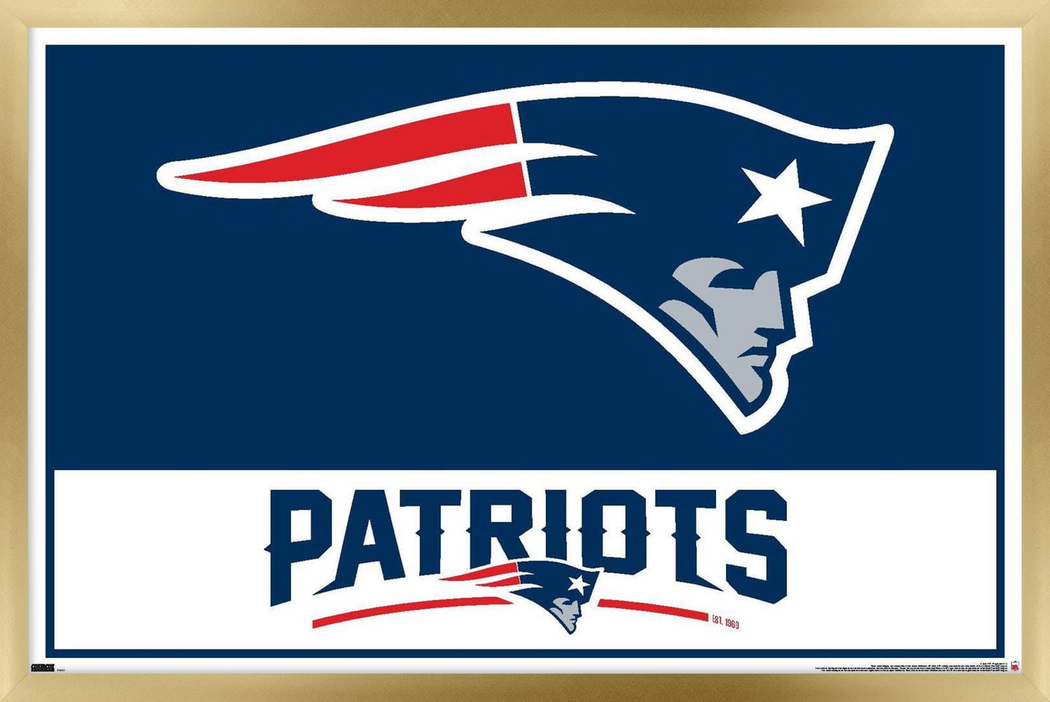 Patriots de la Nouvelle-Angleterre de la NFL