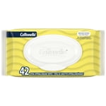 Cottonelle Summer Fresh Flushable Wipes, Rigid Flip Top, 1x, 42ct