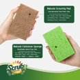 thumbnail image 3 of Hottest 10 Pack Natural Dish Sponge, Eco-Friendly Scrub Sponge, Compostable Coconut & Cellulose Cleaning Scrubber Non-Scratch Kitchen Sponge for Pot,Pan,Bathroom,Flatware,Sink,, 3 of 3